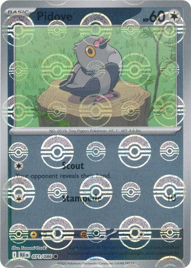 Pidove (Poke Ball Pattern) [BLK - 071/086]